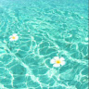 Meet your Posher, Hadley